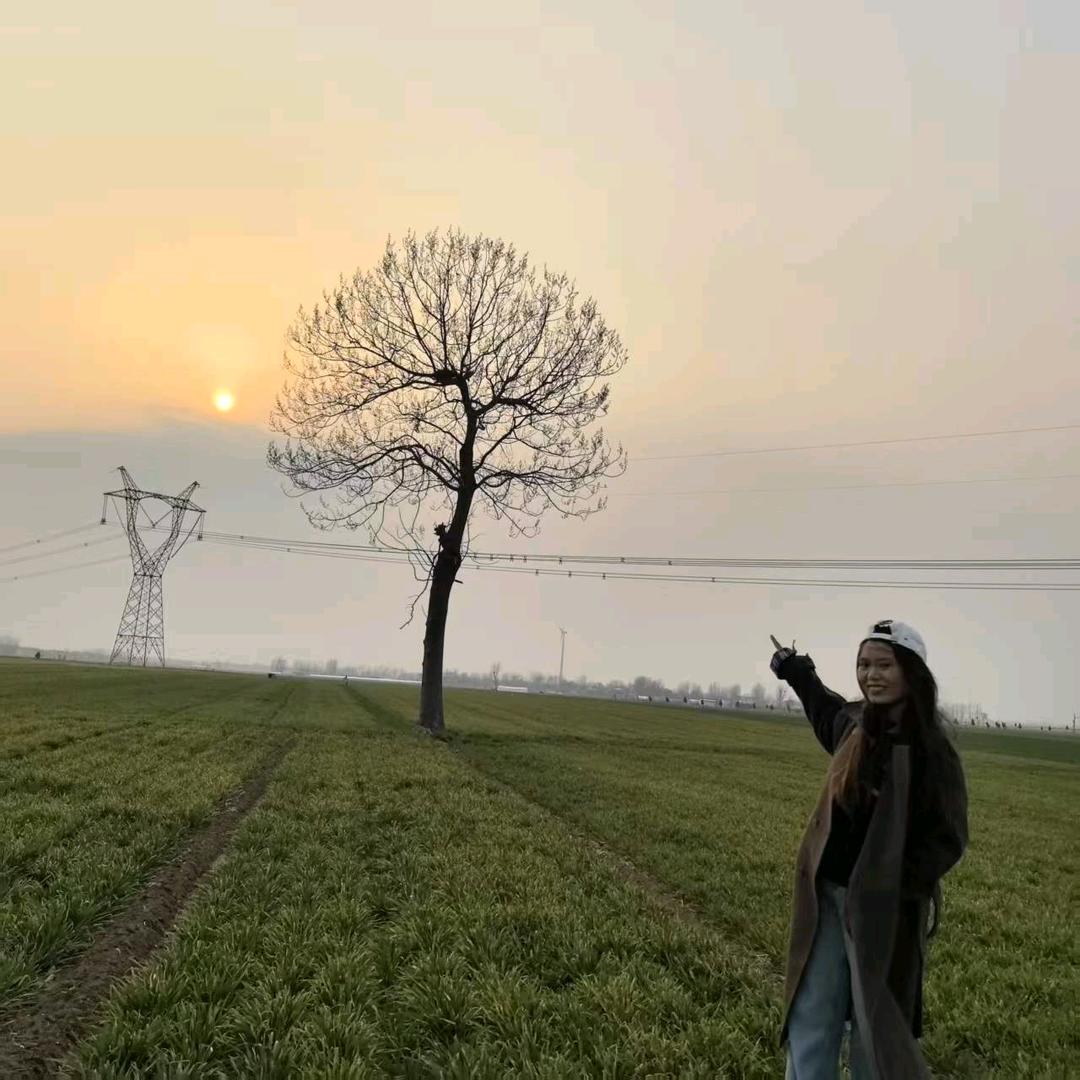 🌻向日葵