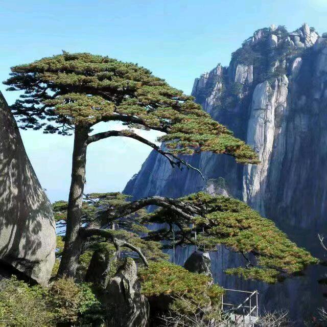 岁月