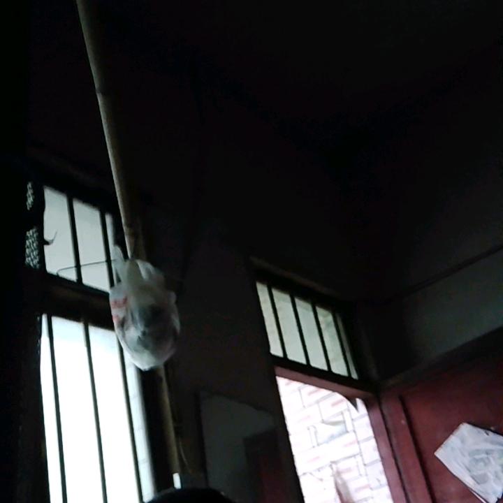 A1469968065