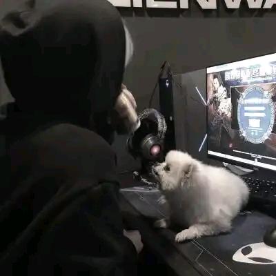 陌
