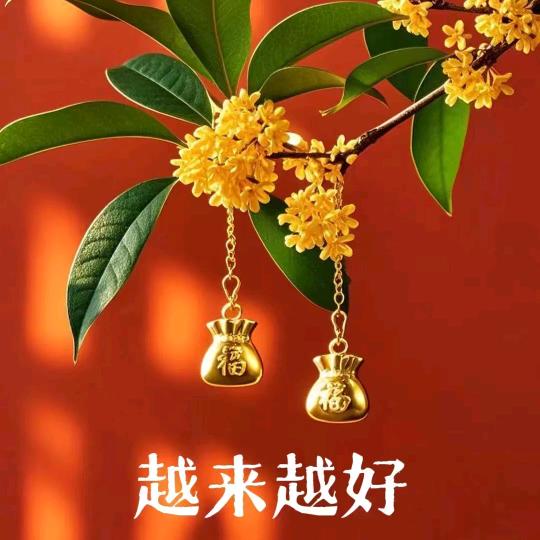 冬天里的一支梅花