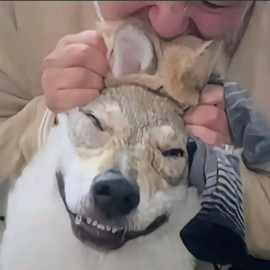 雪皇离婚分走彩礼罡之心一百五十年内力