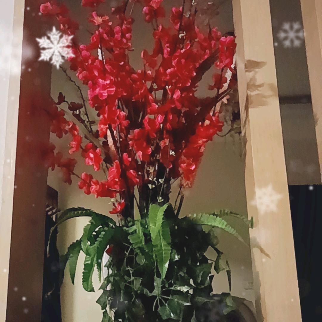 平安是福