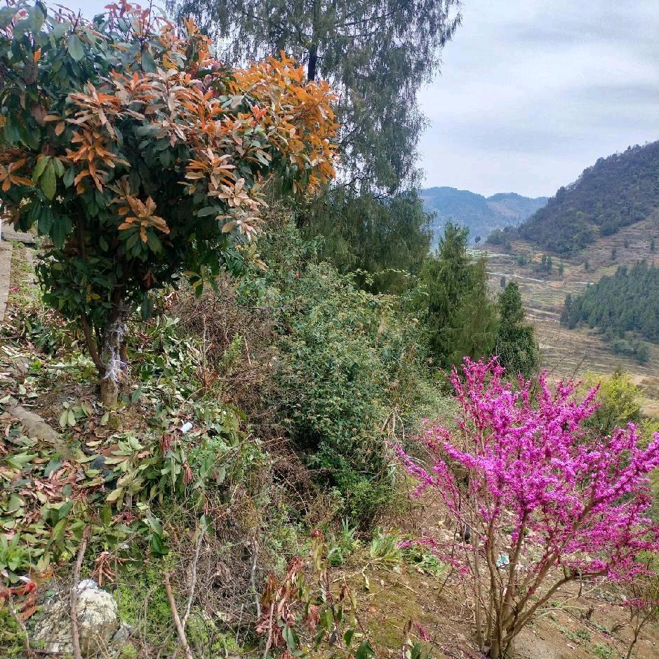 李英用户8259710546791