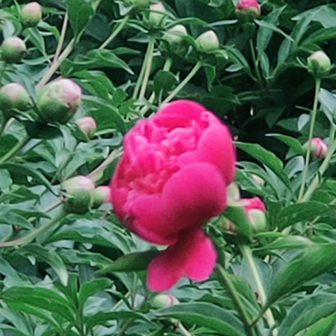 深邃