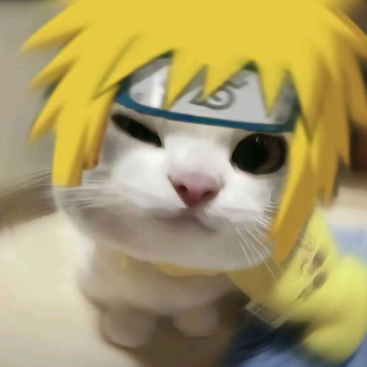 小猫你可以玩青年水门