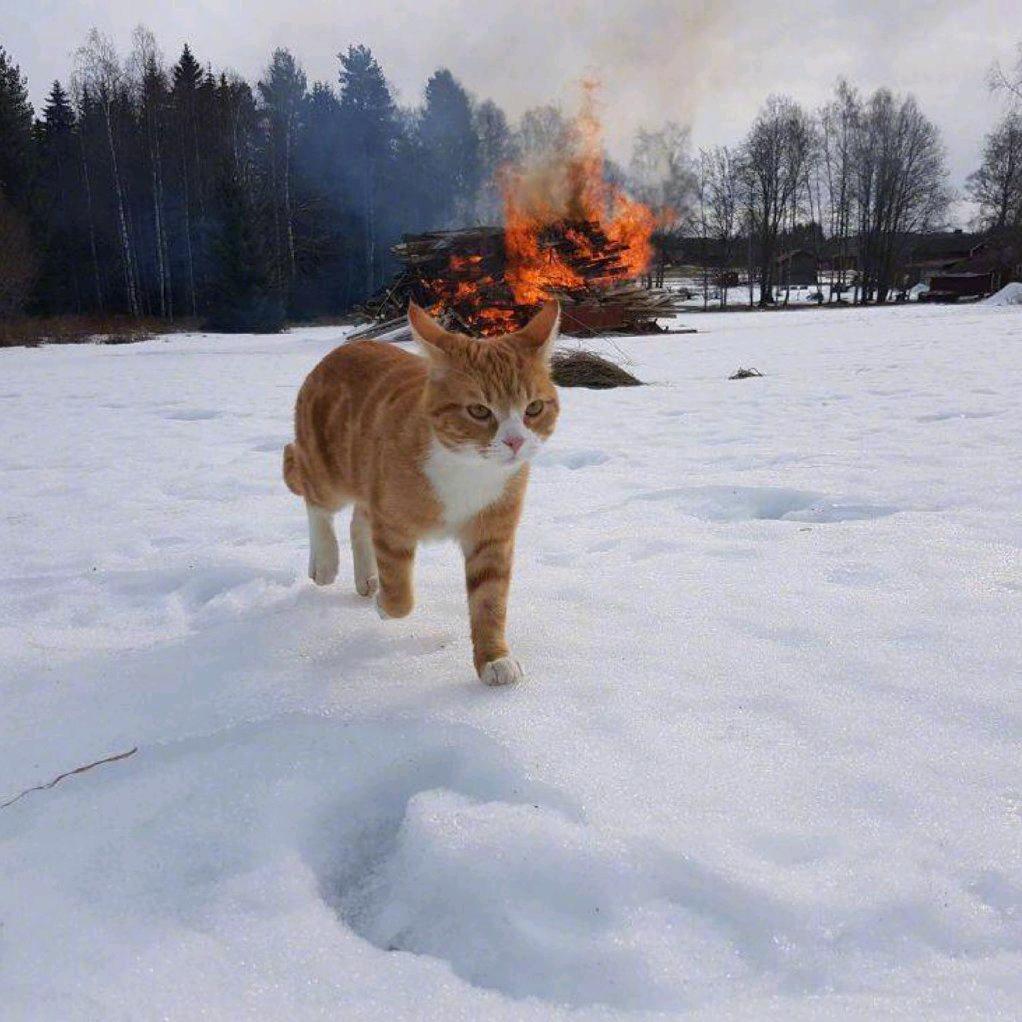 大圣您快收了神通吧