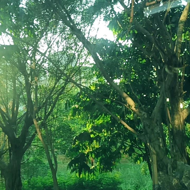 红水河河鱼庄