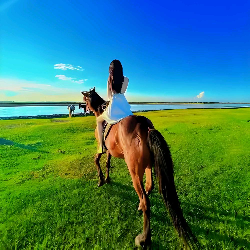 🐮草原美食（内蒙古）