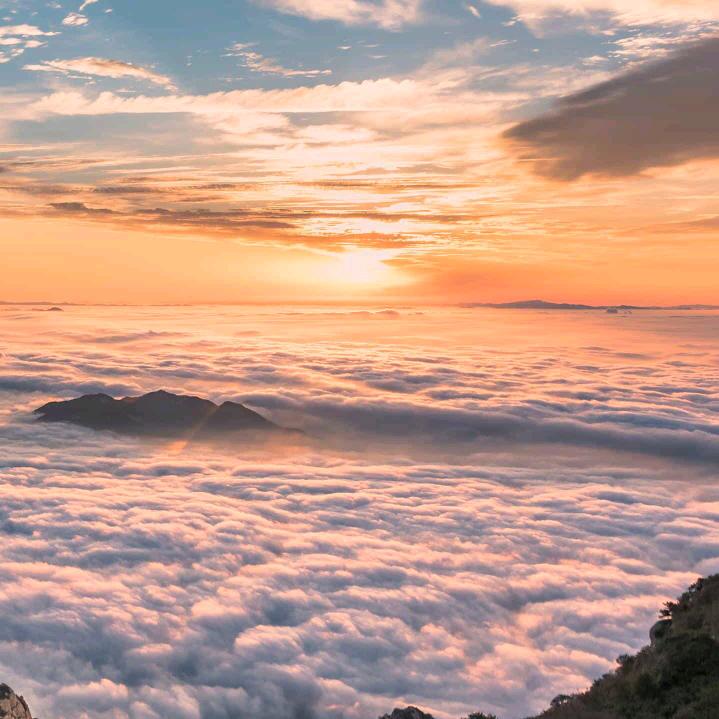 刘家姑娘好物推荐