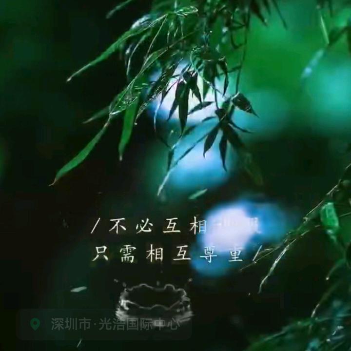 心若止水.