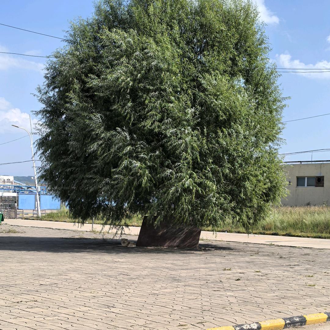 要向前