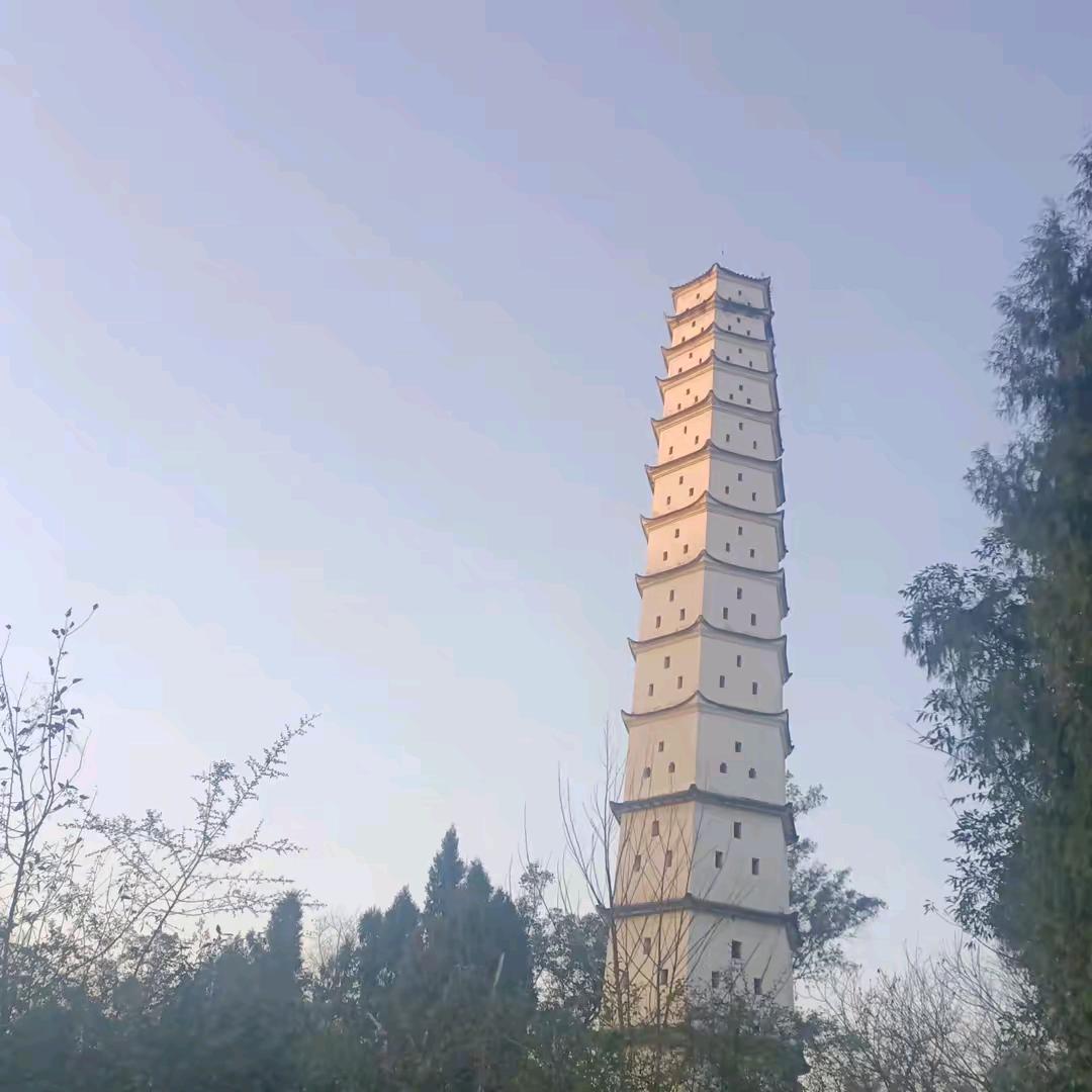用户闯天涯1571916633233