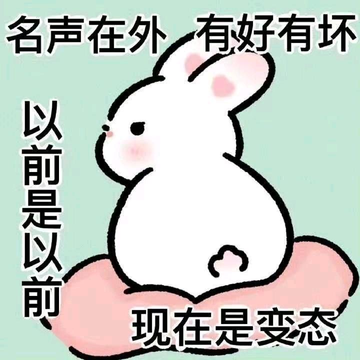 皮皮和淘淘