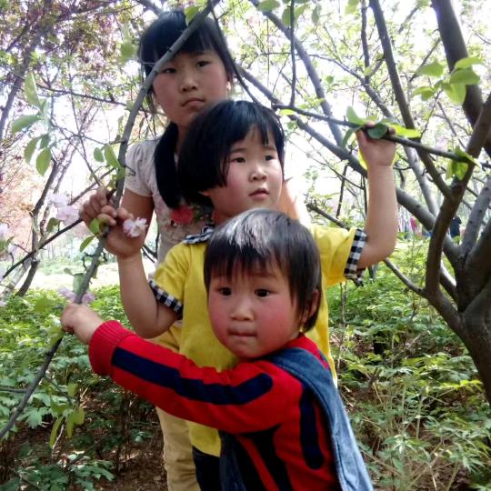 鸡蛋🥚🥚🥚画饼吃