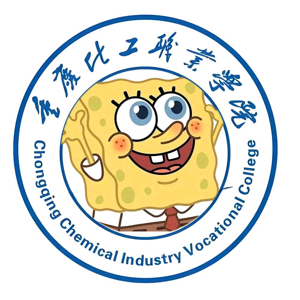 重庆化工职业学院万能墙