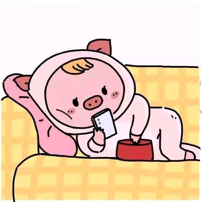 爱唱歌的小猪猪🤡