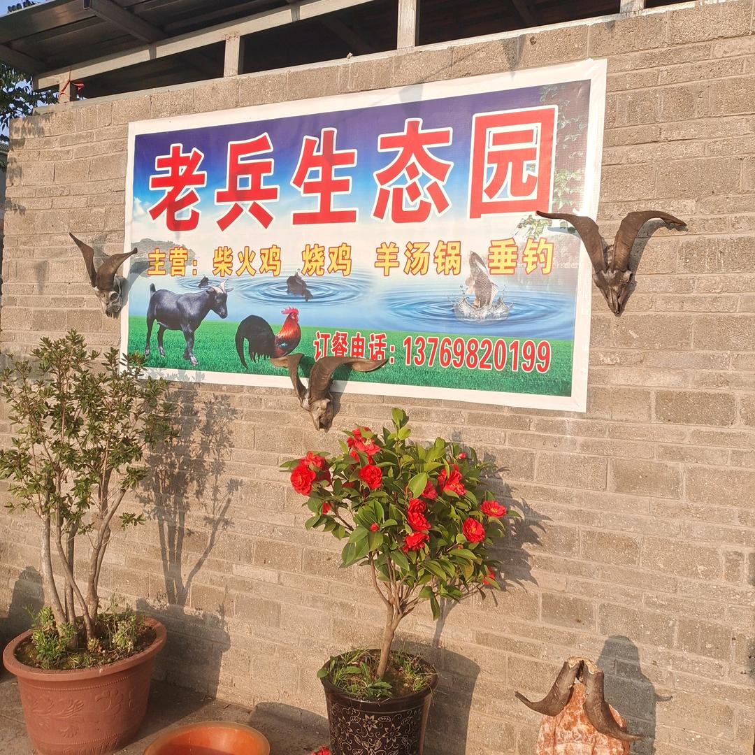 丨李金云