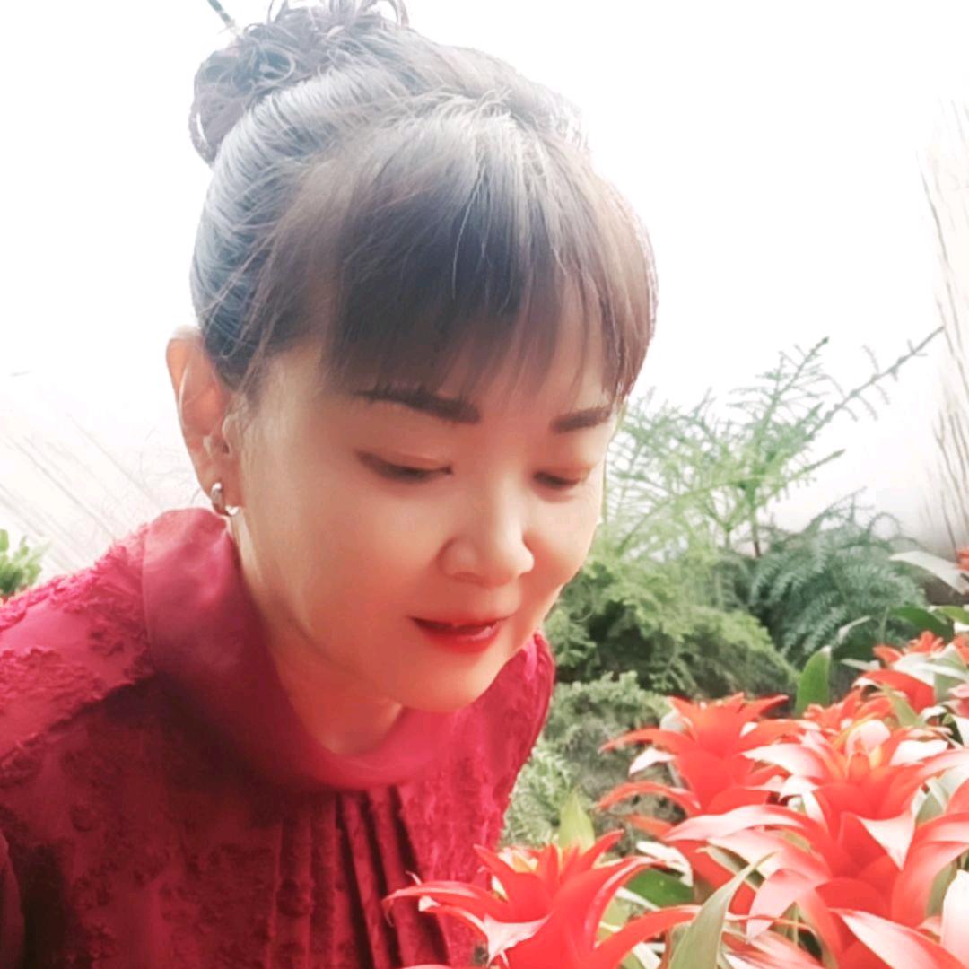 韩洋洋
