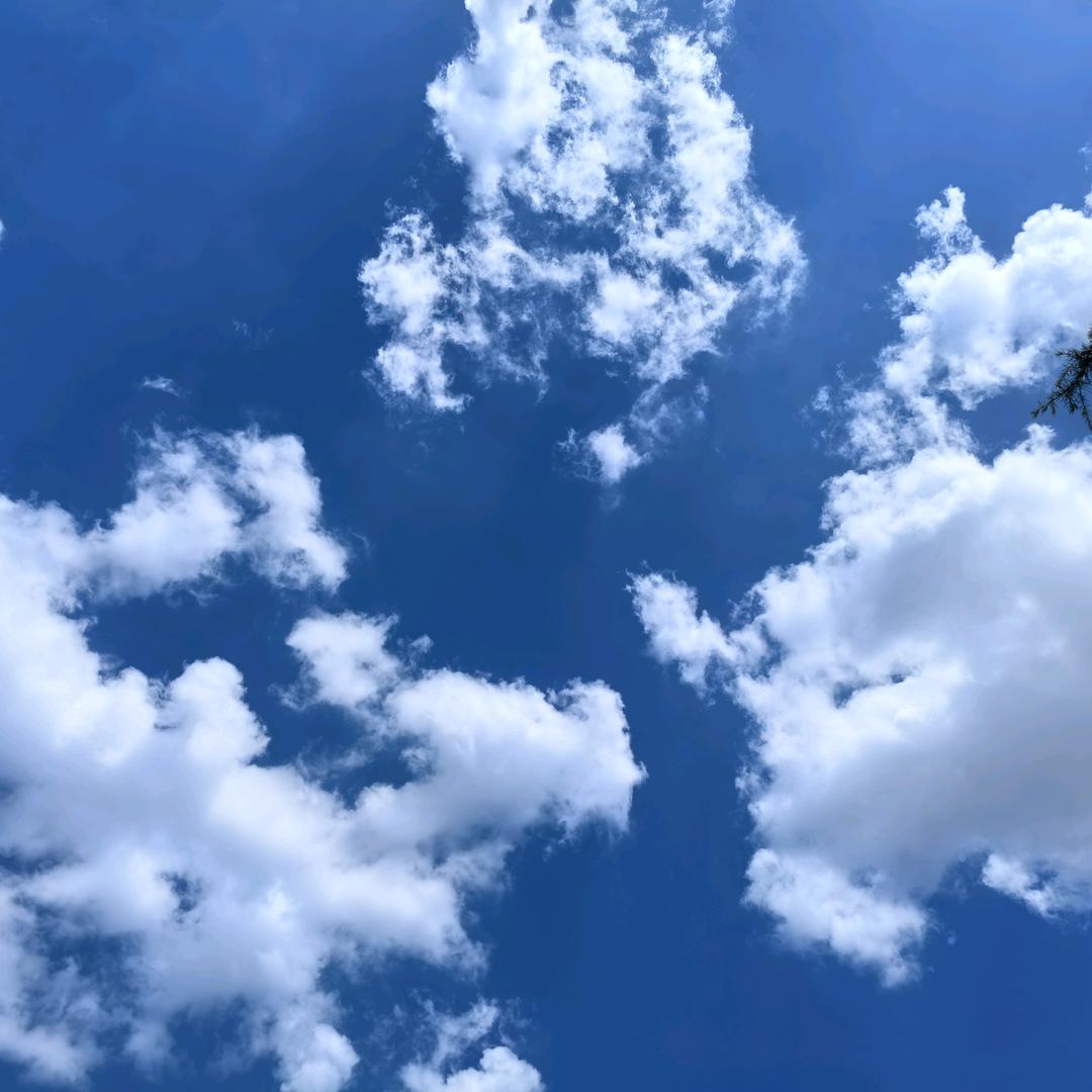风月无边