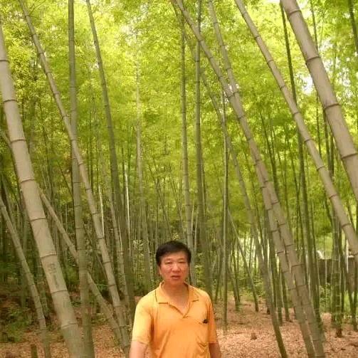 李老师