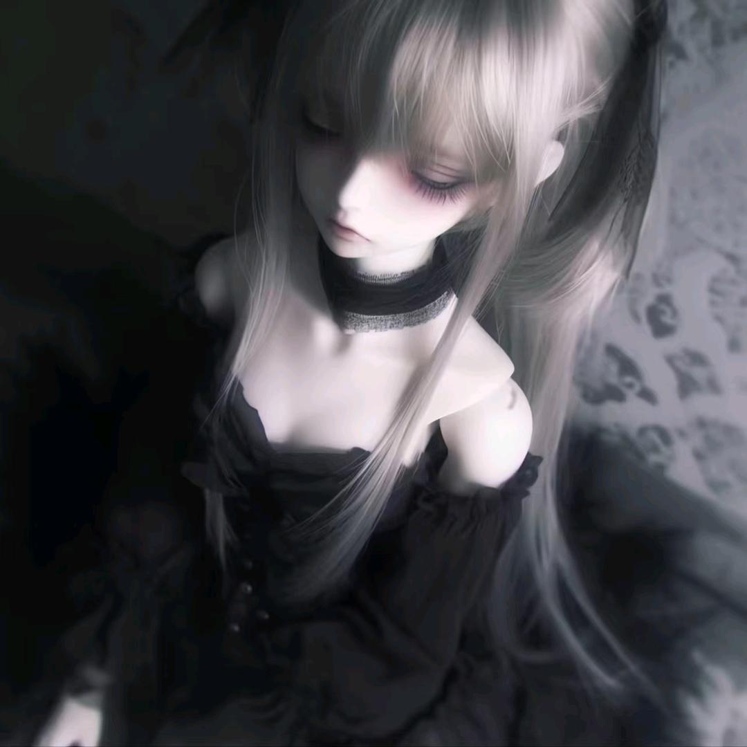 小猫(21551世一娥)