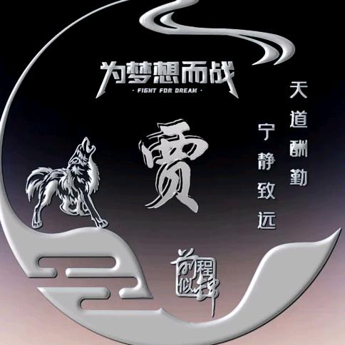 骑猪逛夜市³