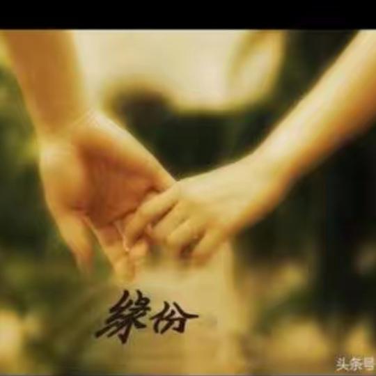 冰橙