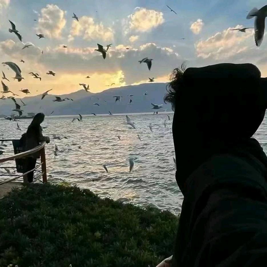 宇🐟