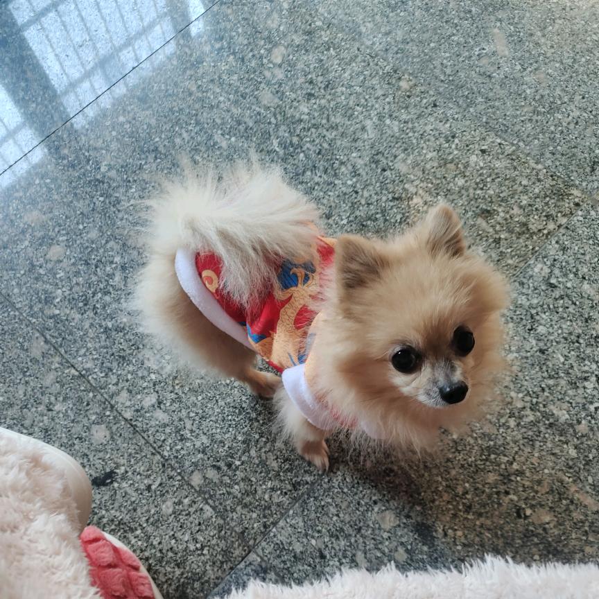 @林清轩  虹