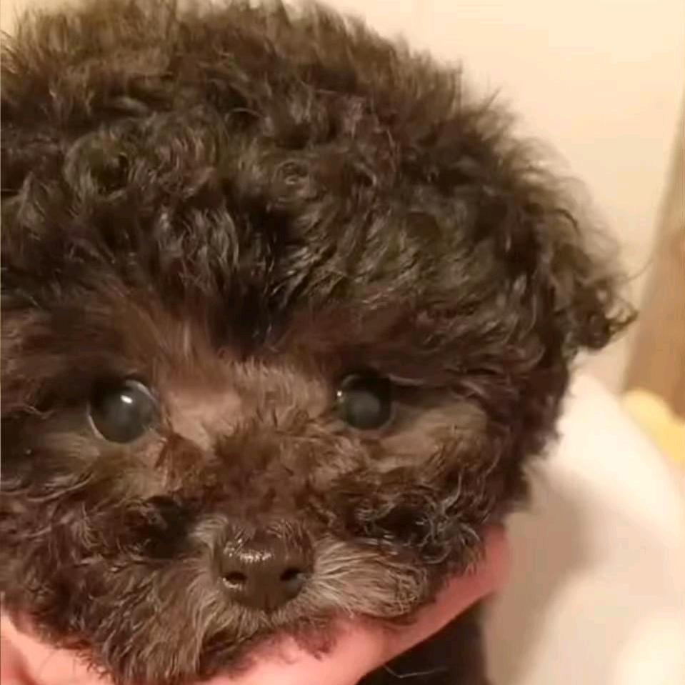 残爱