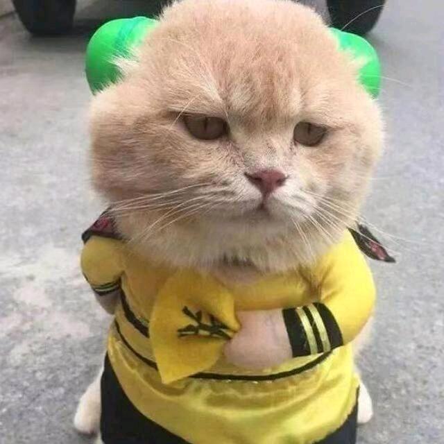 一粒沙