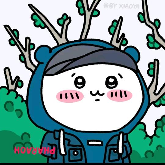 沃柑鲜昇