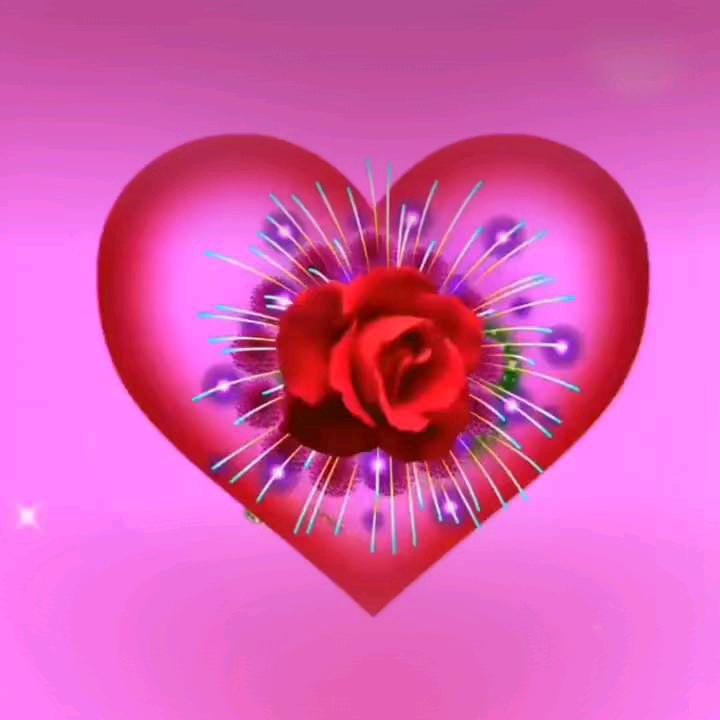 花花公子37313969710
