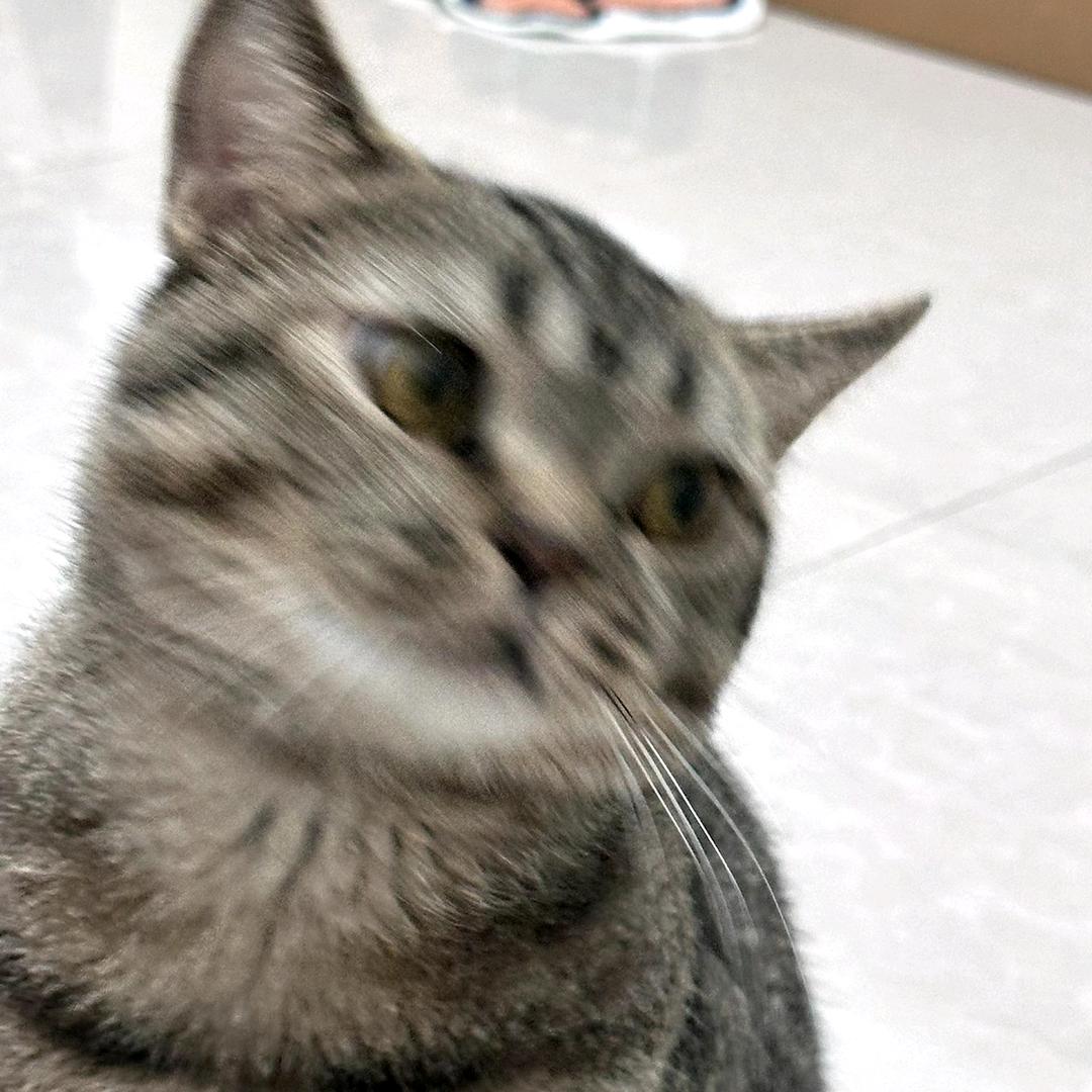 AAAA-专业蚊子养殖蛋姐