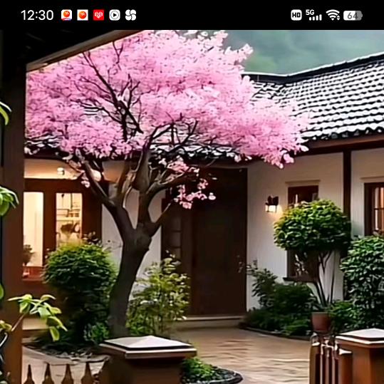 空花瓶