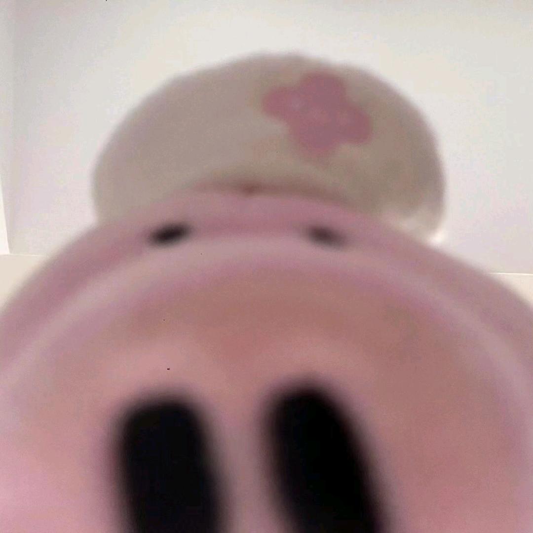 尤他