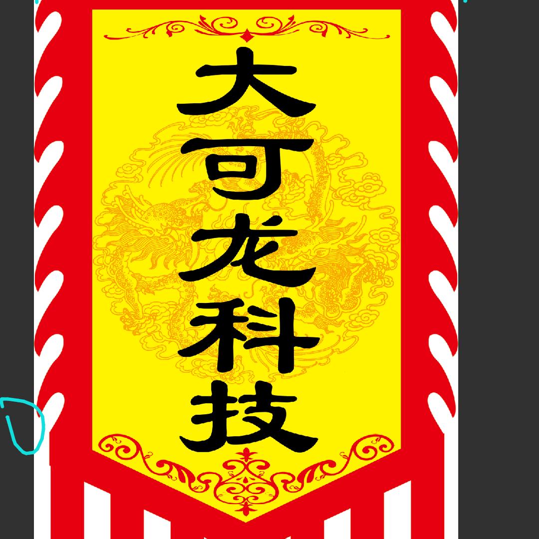 大可龙科技（深圳）有限公司