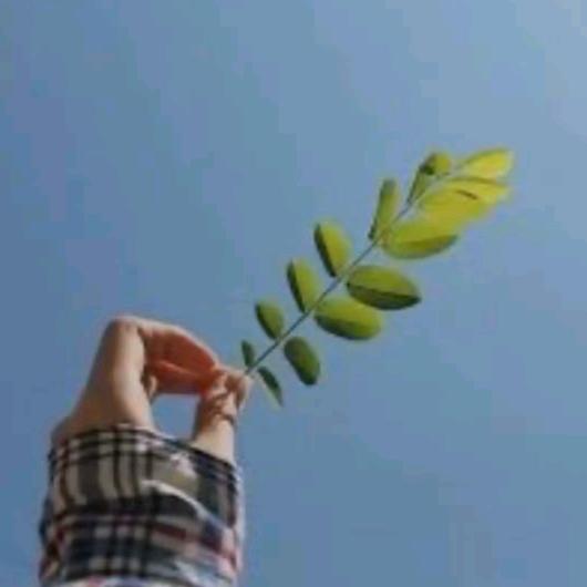 ꦿ💞凡尘清心💞