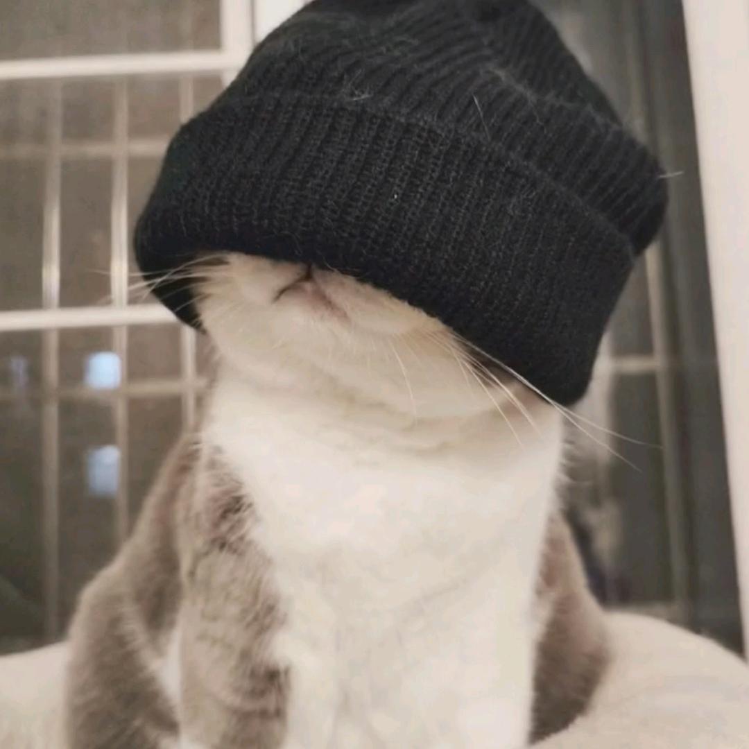 此生不碰黄赌毒