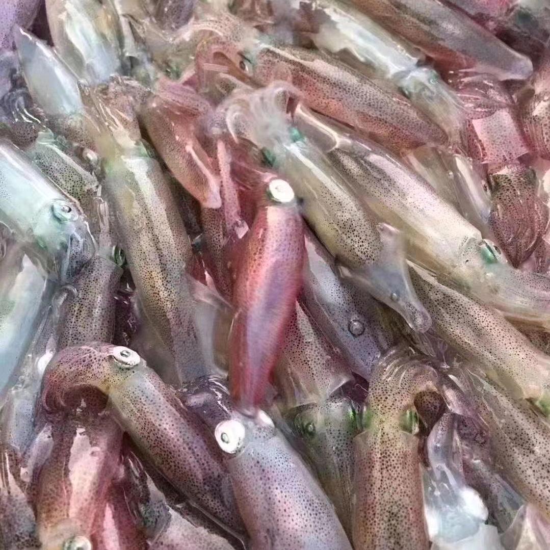 开心小子