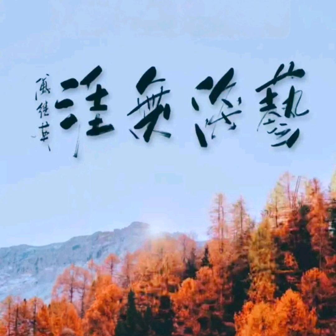 艺海无涯