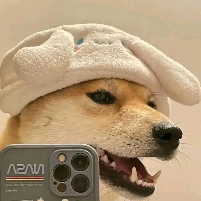 黑白配
