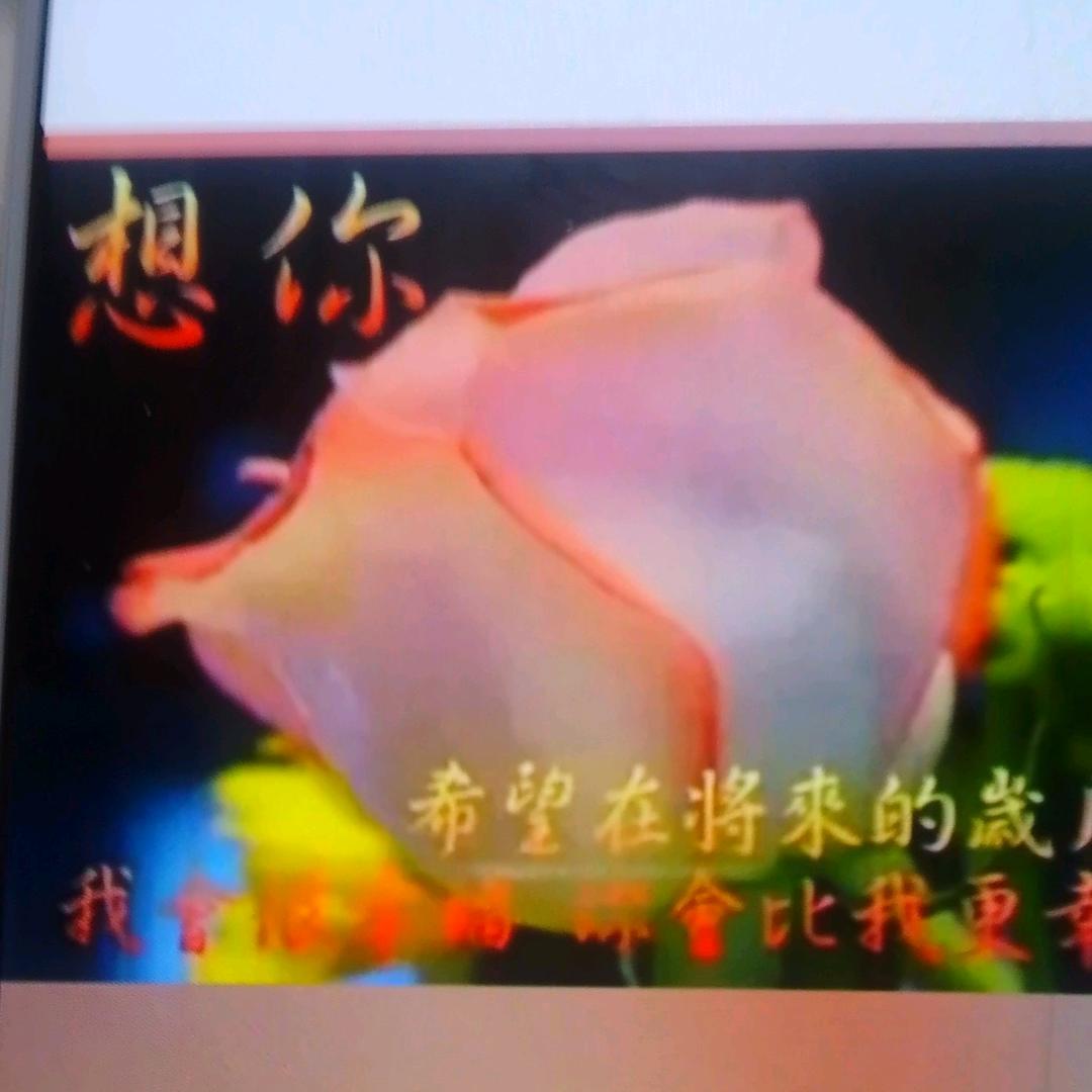 心辉💖意冷