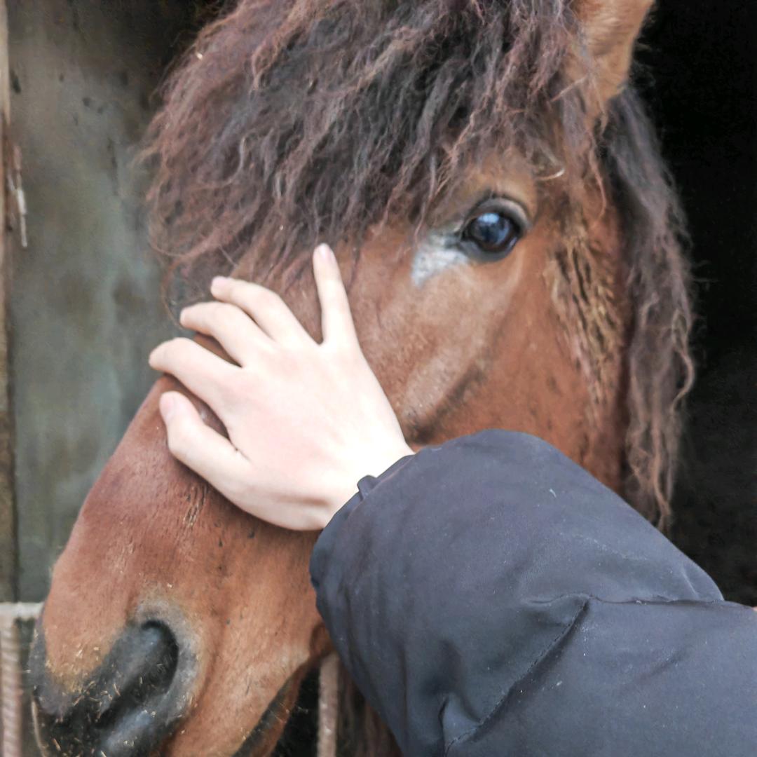 踹老奶奶过马路
