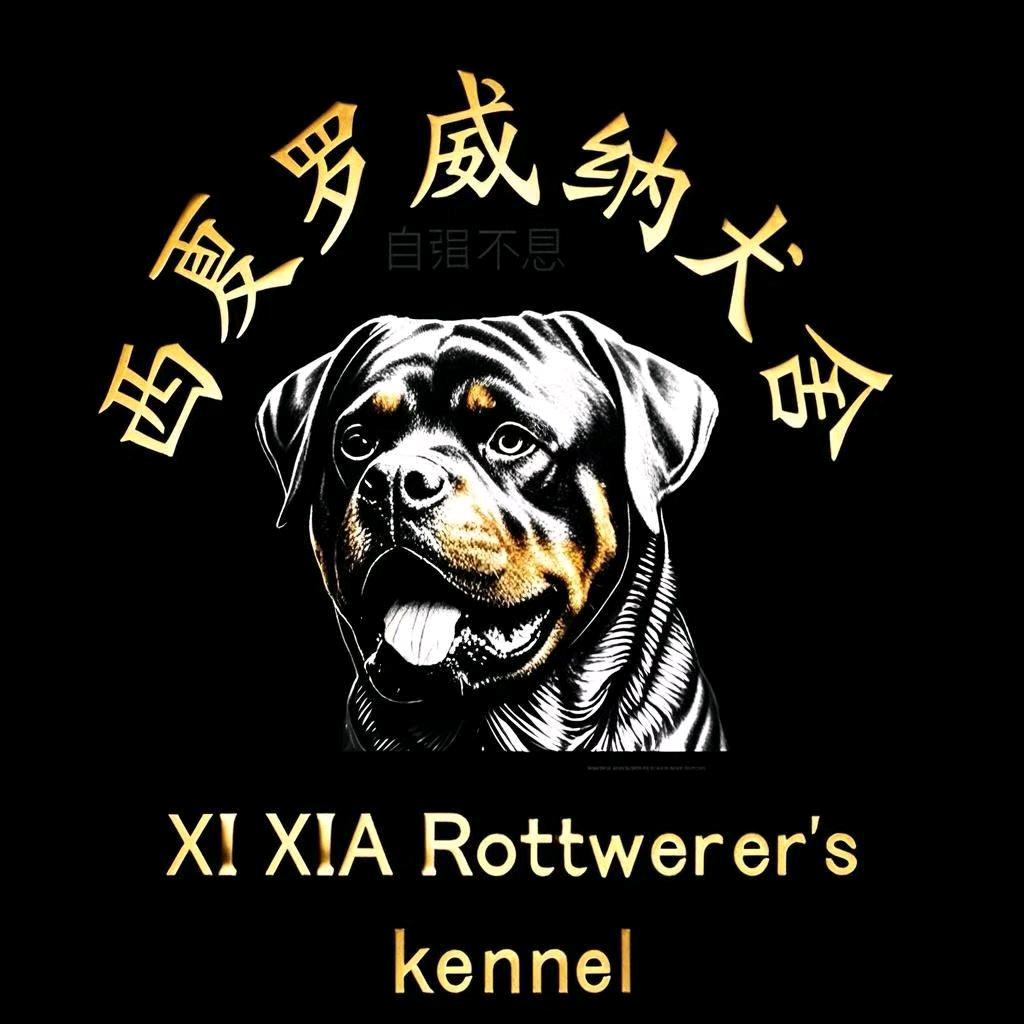 张哥哥吖