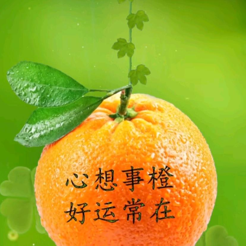 开心快乐，就好