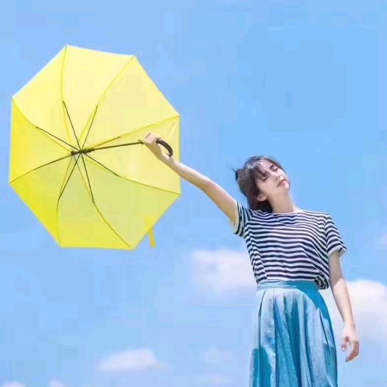 波斯猫爱分享