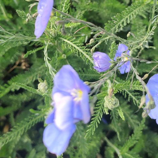 用户6057395153859多多支持