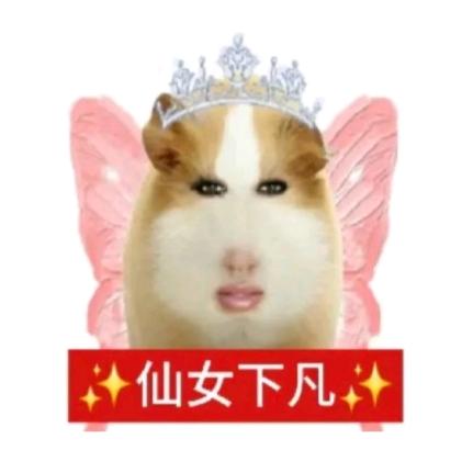 打小三打到半夜发现是原配